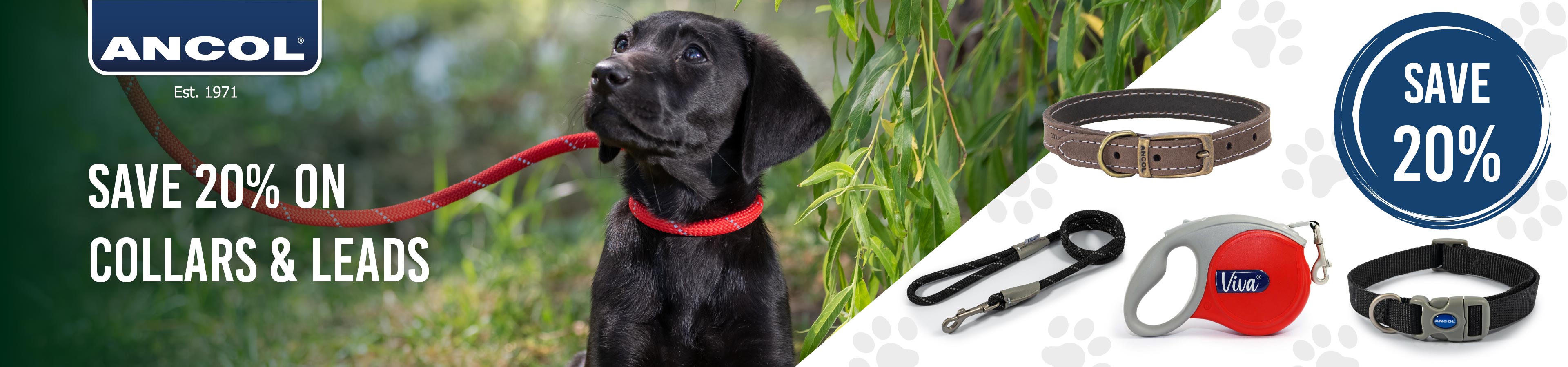 Save 20% on Ancol Collars & Leads at The PharmPet Co.