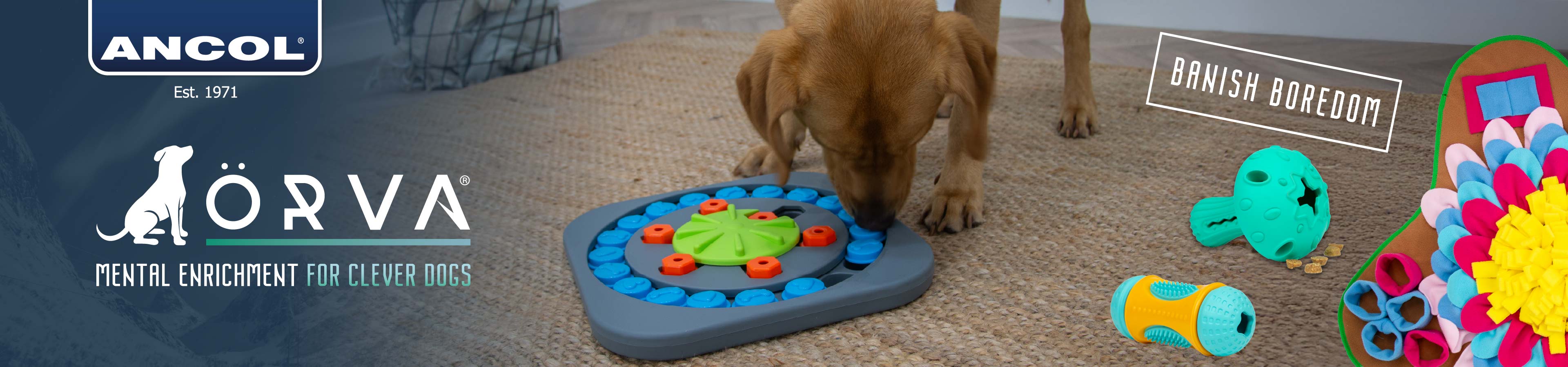 Shop Ancol Pet Accessories at The PharmPet Co