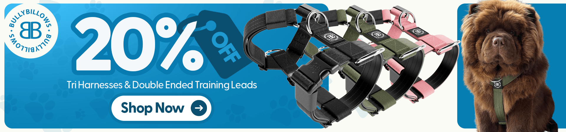 Shop BullyBillows Leads & Harnesses at The PharmPet Co.