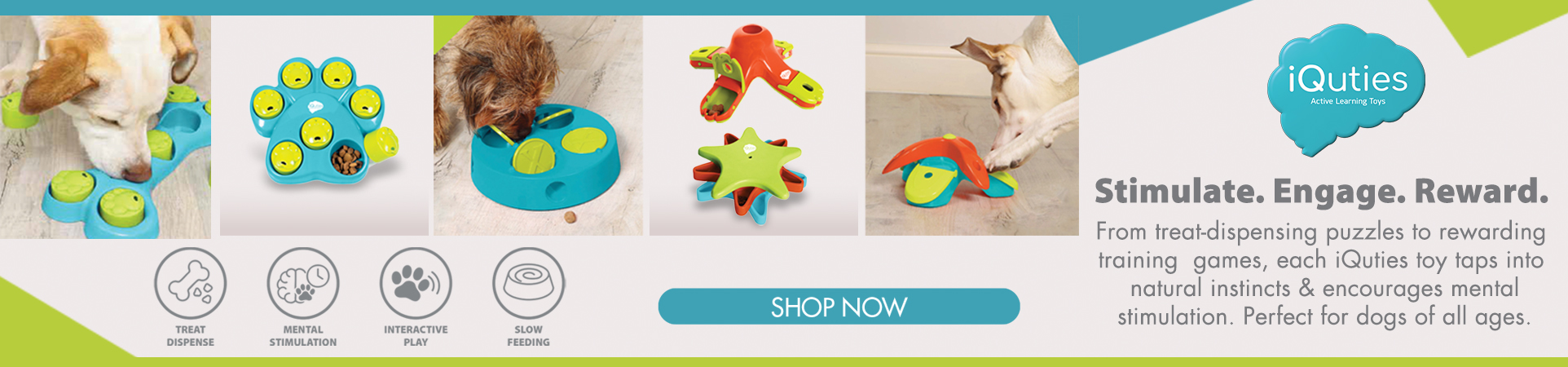 Shop iQuties Dog Toys at The PharmPet Co.