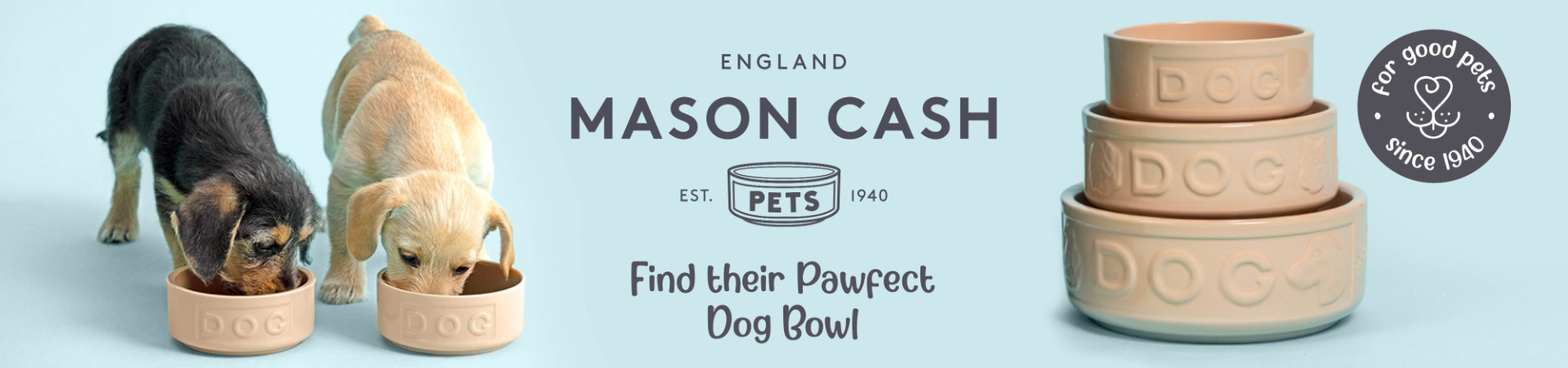 Shop Mason Cash Dog Bowls at The PharmPet Co.