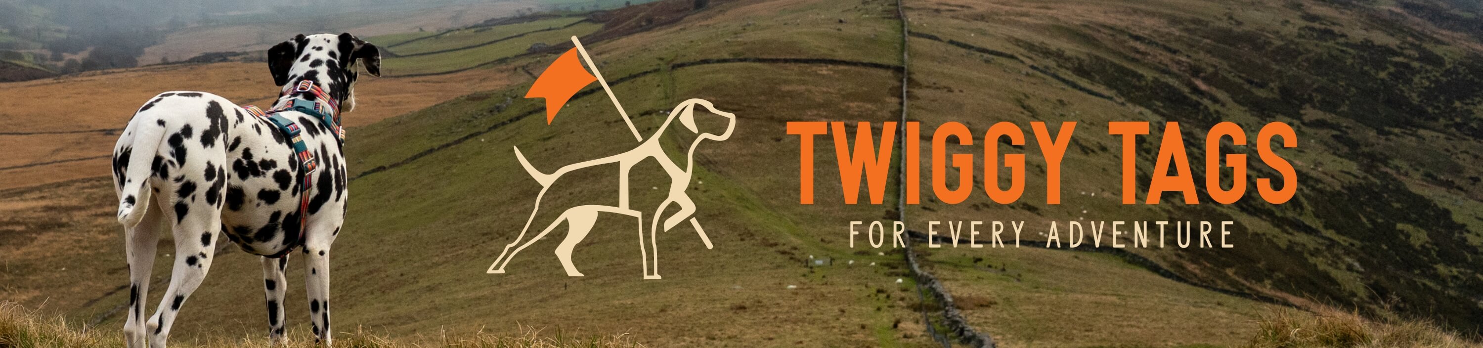 Shop Twiggy Tags Collars, Harnesses and Leads at The PharmPet Co. 