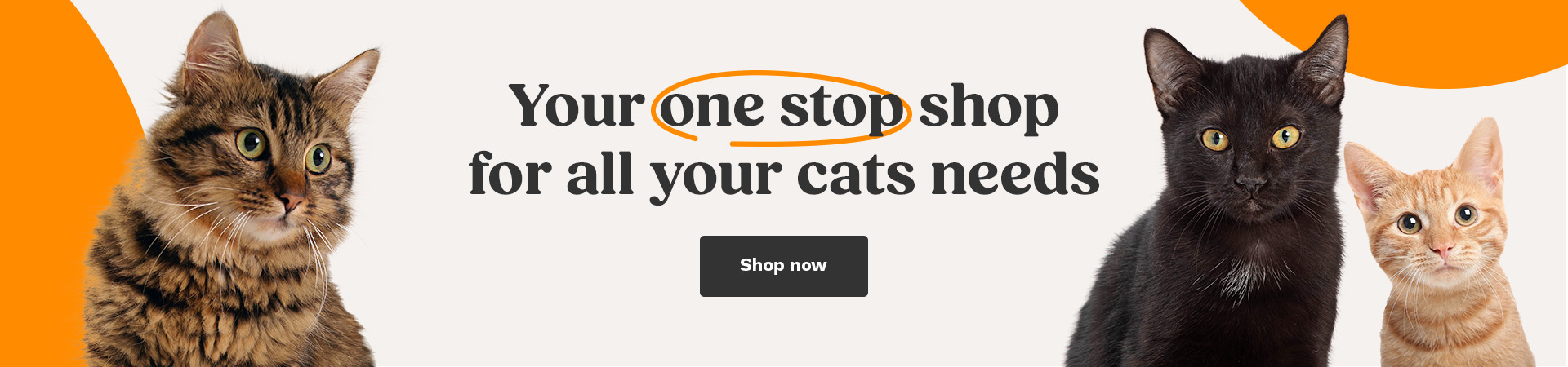 Products for cats