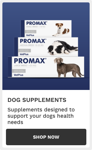 Dog Supplements