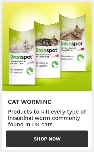 Cat Worming Treatment