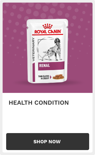 Health Condition