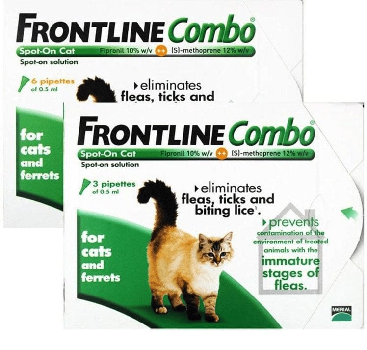 frontline combo cats