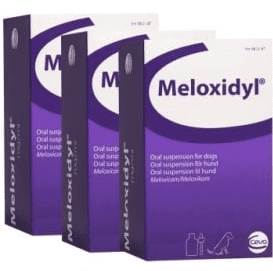 meloxidyl for dogs