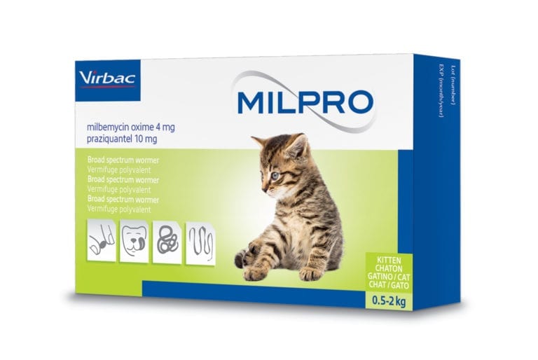 Milpro Worming Tablets for Cats The PharmPet Co
