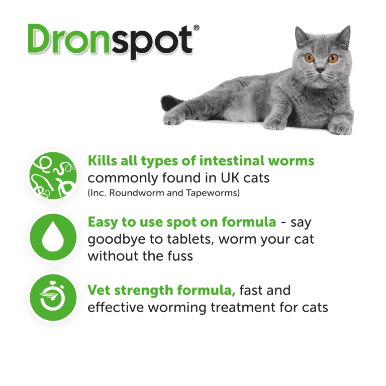 Dronspot Spot On Wormer for Cats The PharmPet Co