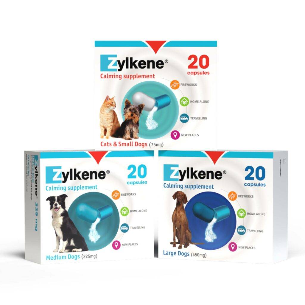 Zylkene Stress Relief Capsules